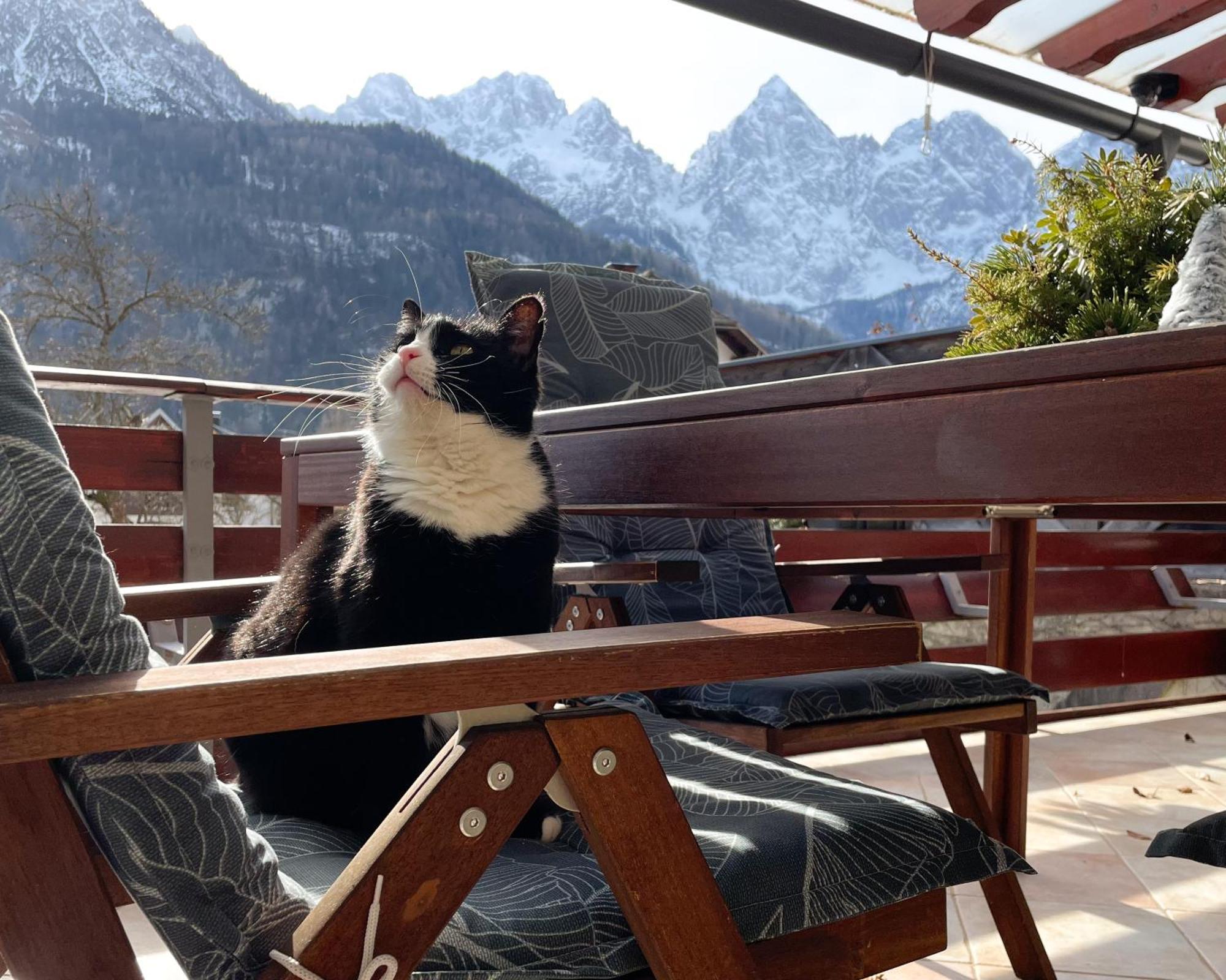 Apartma Felix Kranjska Gora Exteriér fotografie